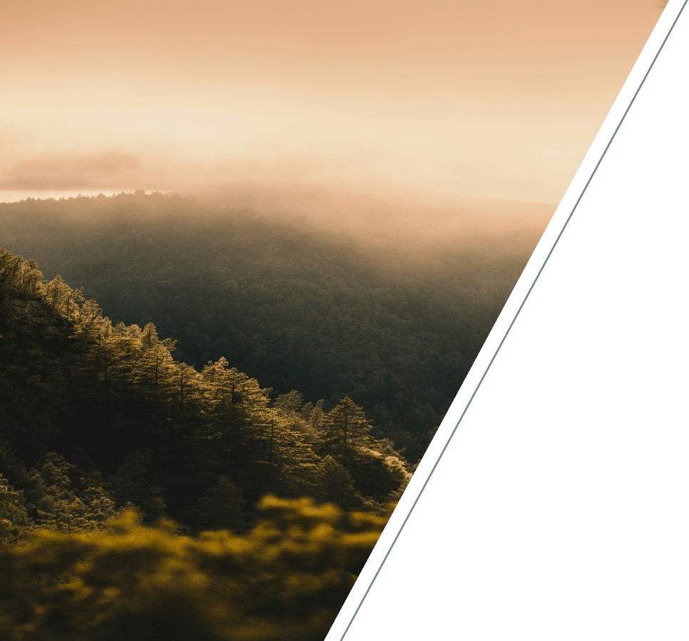 Sunrise over mountains, symbolizing healing with a depression therapist in San Francisco.