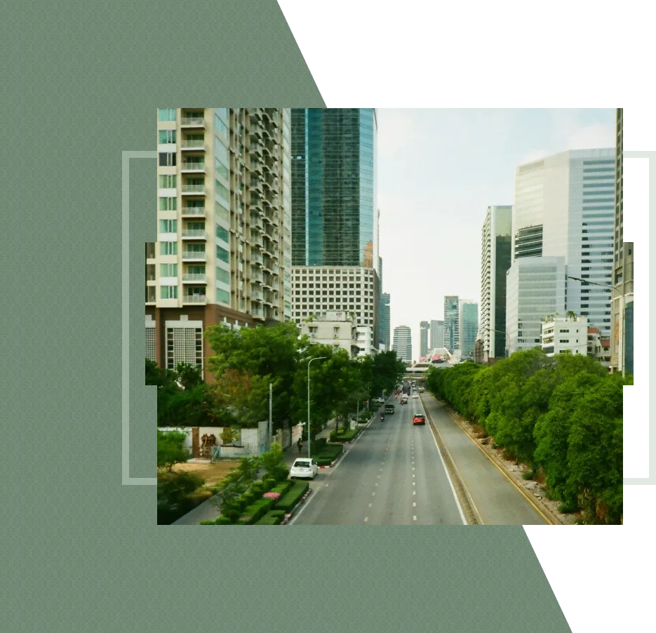 A street with tall buildings and trees