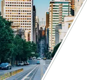 Sunlight streaming through forest trees, symbolizing clarity and calm with an anxiety therapist in San Francisco.