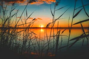 Calming sunset over a quiet lake symbolizing peace and reduced anxiety.