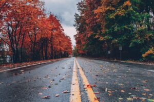 A quiet road surrounded by autumn trees symbolizing reflection and the journey of healing from depression.