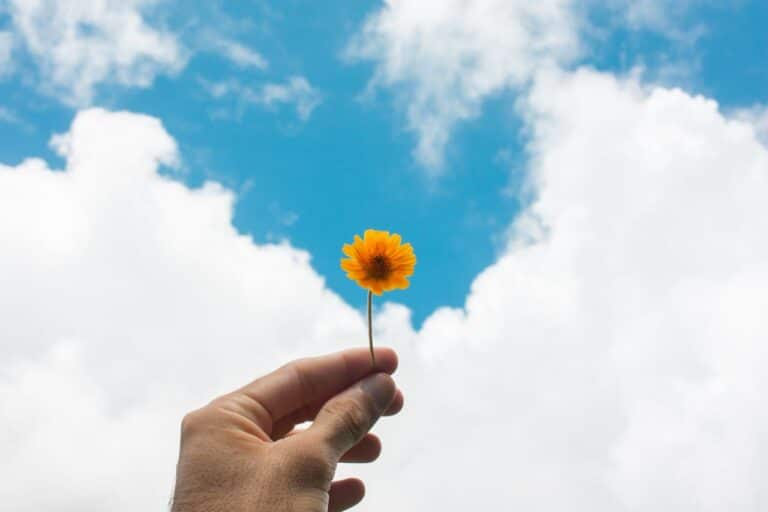 Hand holding a yellow flower against a blue sky, symbolizing hope, healing, and the decision to seek counseling or therapy