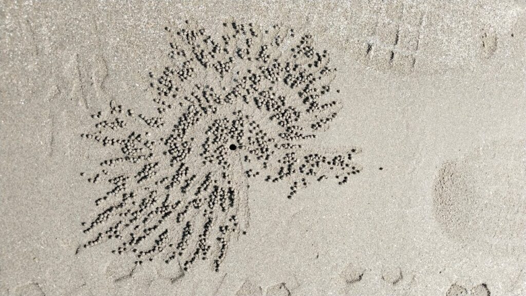 Radial sand pattern resembling neural pathways symbolizing focus, structure, and adult ADHD therapy support
