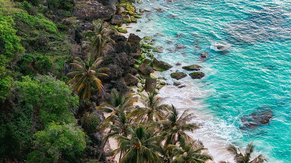 Aerial view of a tropical palm beach with turquoise waves